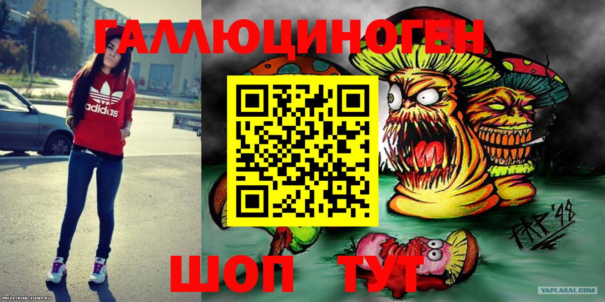 Камышлов  Псилоцибиновые грибы Psilocybine cubensis  Вход с VPN  Галлюциногенные грибы Cubensis 