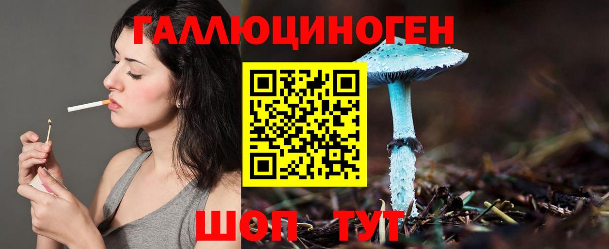 Псилоцибиновые грибы Cubensis Камышлов